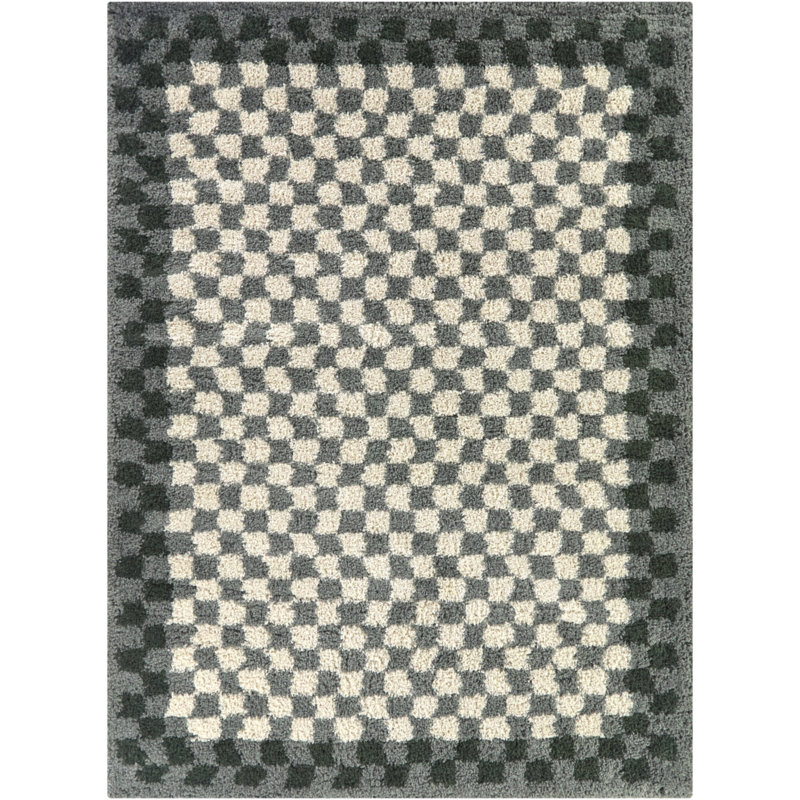 Wingate Grey/Green Checkered Shag Area Rug, Rectangle 7'10" x 10'