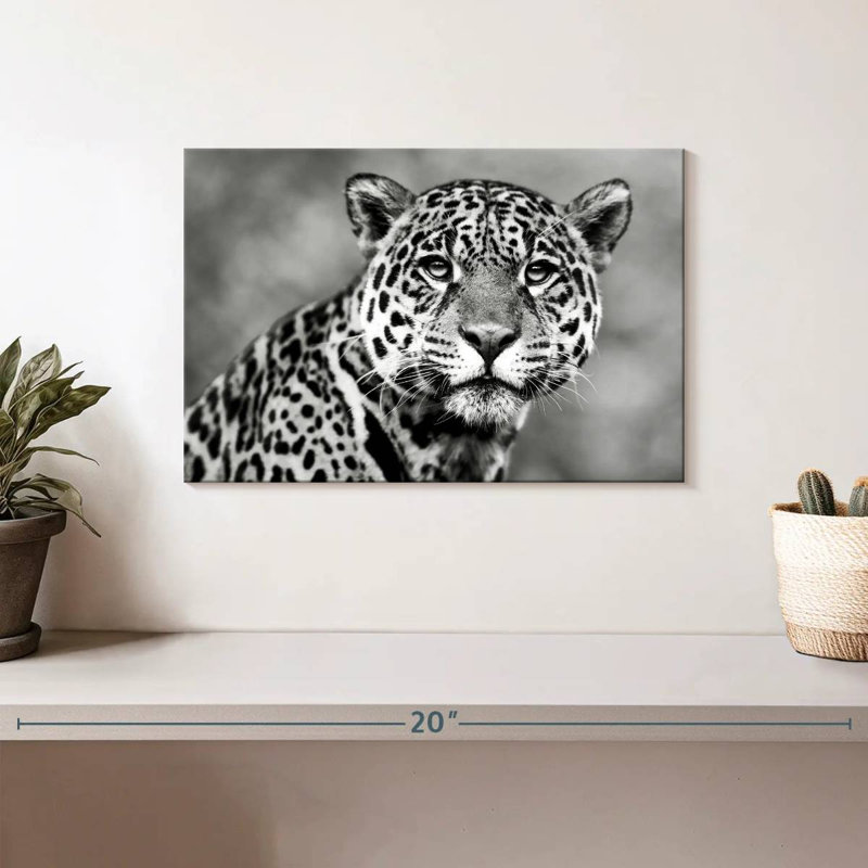Brampt Monochromatic Jaguar, 8" H x 12" W