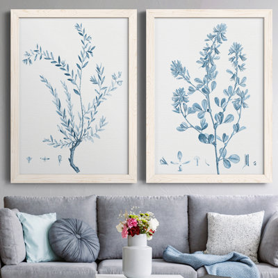 "Antique Botanical In Blue VII", ensemble de 2 peintures sur toile encadrées