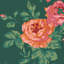 Cath Kidston Archive Rose Pink Blooms-1139141238