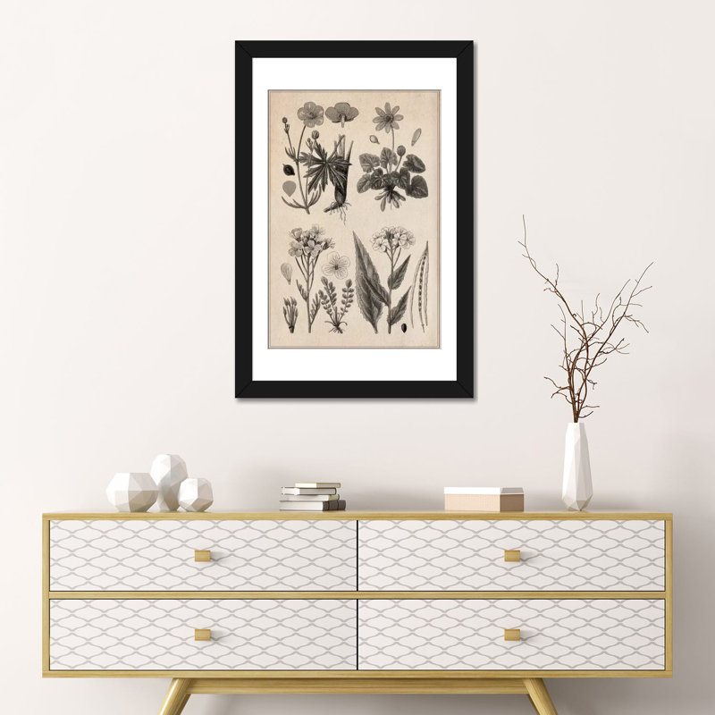«New British Herbal Sketch», impression sur toile, H 24 po x l 16 po x P 1 po, Papier d'art encadré noir, Blanc