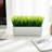 Fake Grass Plants In Cement Window Box