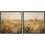 Fleurs de marguerite brunes assorties de marguerites sauvages-97923459-97923462
