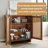 Youssouf 30.02'' Wide Accent Cabinet-721002890