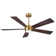 5 Blades Indoor Ceiling Fan With Light Kit And Remote