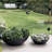 Aquita Handmade Pot Planter-1452579132-1452579130