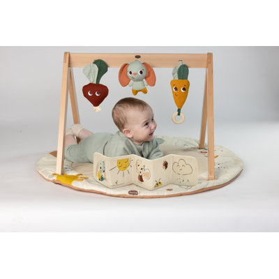 Tiny Love Luxe Developmental Gymini