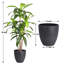 Pots ronds artificiels en résine et arbre Dracaena-1354450795-1351864700