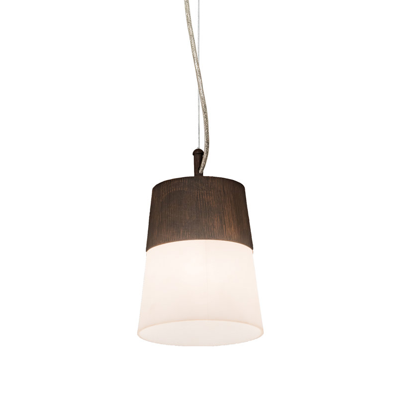 Toomer 1 - Light Single Pendant