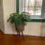 Photos des clients 1 de 1
