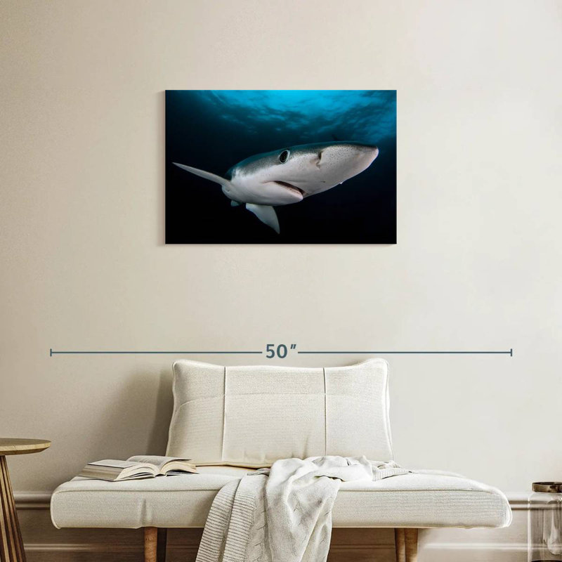 Brampt Underwater Blue Shark, 20" H x 30" W