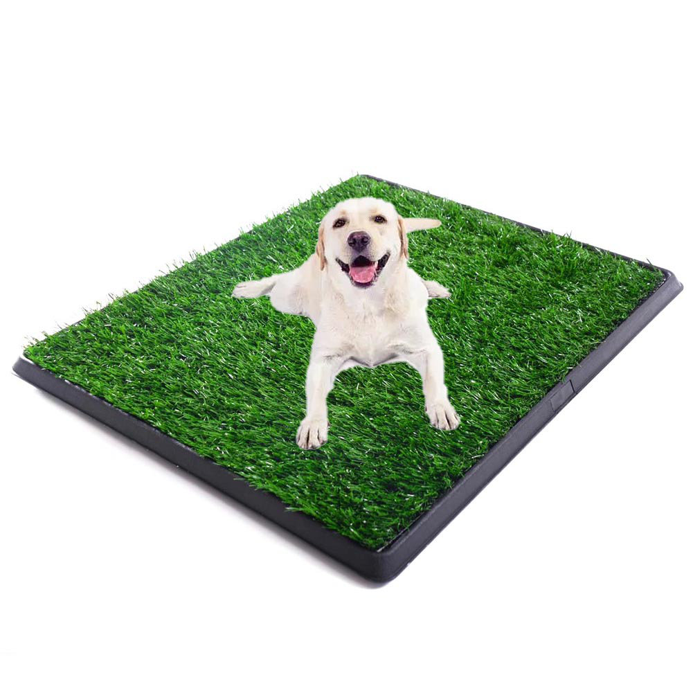 Tucker Murphy Pet™ Artificial Dog Grass Mat, Indoor Potty Training, Pee Pad For Pet Wayfair