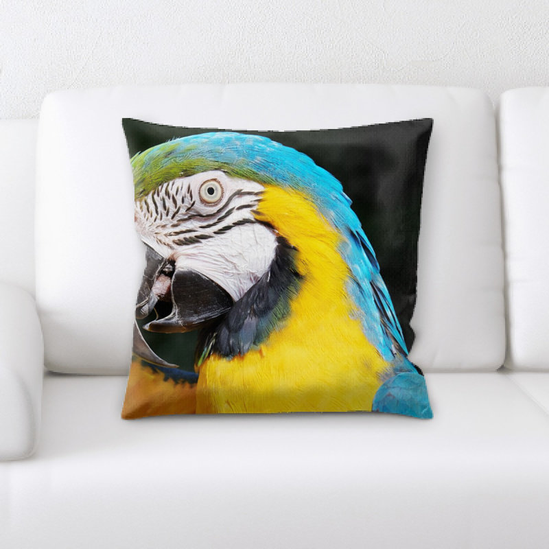 Coussin à jeté ara