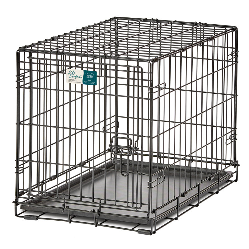 Cage pour chien MidWest Homes for Pet, Petit (H 21 po x l 18 po x P 24 po)