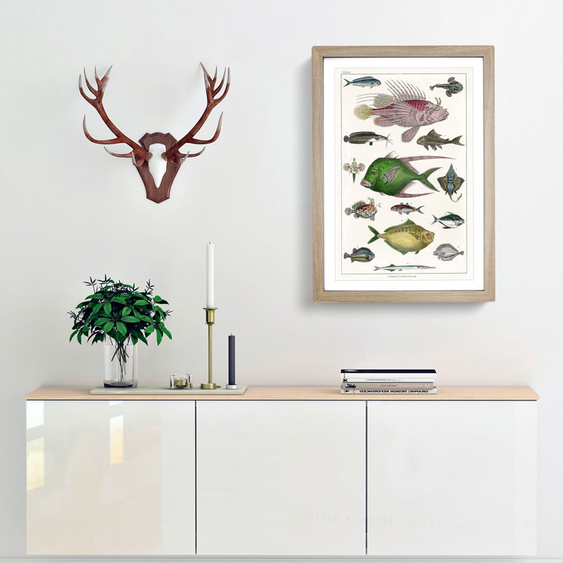 Various Fishes XXXIII by Oliver Goldsmith - Picture Frame Painting Print, 65cm H x 48cm W x 2cm D, Oak Framed