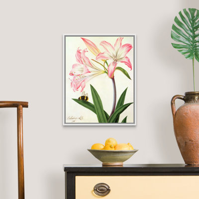 " Lilium Belladonna And Bee, 1786 " by Matilda Conyers