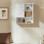 Living Room Wall-Mounted Cabinet with Adjustable Shelf