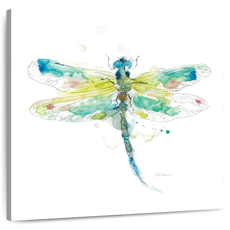 Brampt Sketchbook Dragonfly, 20" H x 20" W