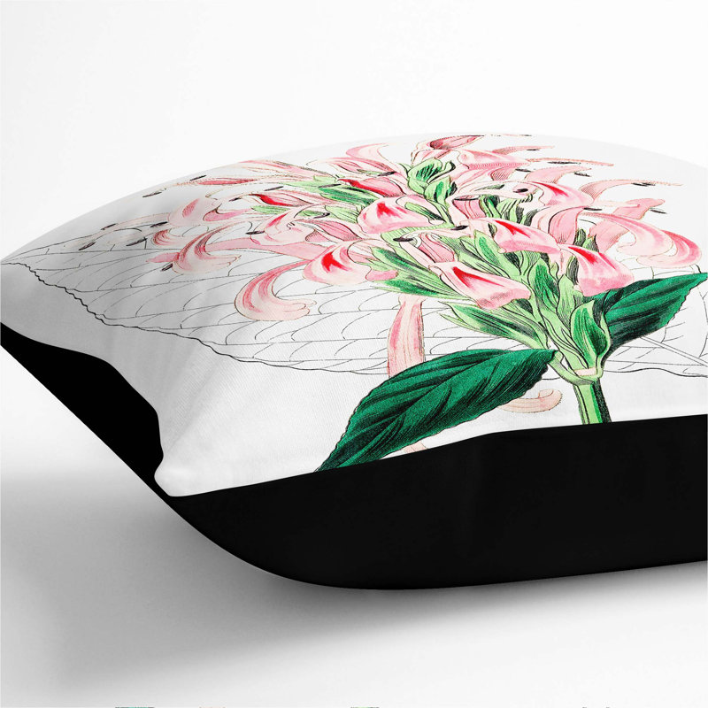 Pink Justicia Flowers Cushion with Filling, Black, 40cm H x 40cm W x 15cm D