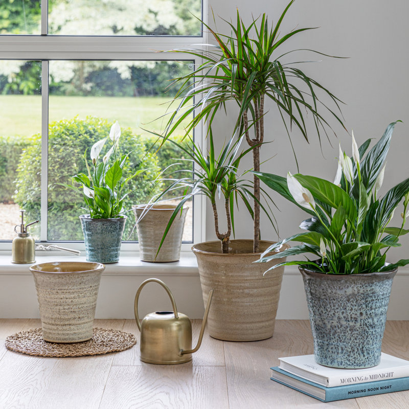Pot Planter