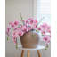 Pink Flowering Phalaenopsis Orchid 34"-1842742665-1842742664