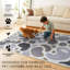 Tapis lavable gris olive Kyoa 5X7-1242502314