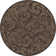 Aashild Floral Indoor Rug