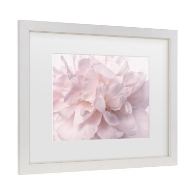 Cora Niele «Pink Peony Petals II», art encadré mat
