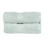Renaissance Egyptian Cotton Hand Towels-2074011954