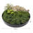 Plastic / Acrylic Tray-15058439-15058440