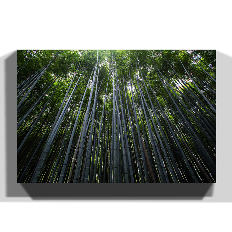 Wrapped Canvas Print, 50cm H x 76cm W