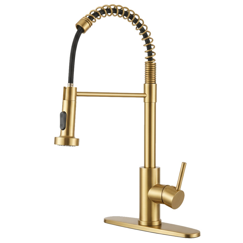 Industrial Single-Handle Spring Spout Kitchen Faucet with Pull-Down Sprayer (Set of 2), Brushed Gold