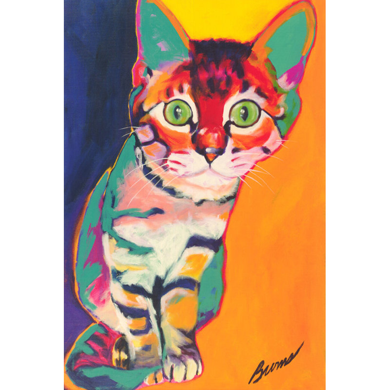 Tigre IMA-B509
