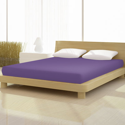 Adeoye 100% Cotton Fitted Sheet