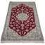 Nishtha Oriental Area Rug in Red
