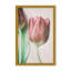 Nature Inspired The Spring Lovers by  - Picture Frame Graphic Art on Paper-81386869-131284562-131292477