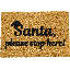 Ezra Non-Slip Christmas Outdoor Doormat