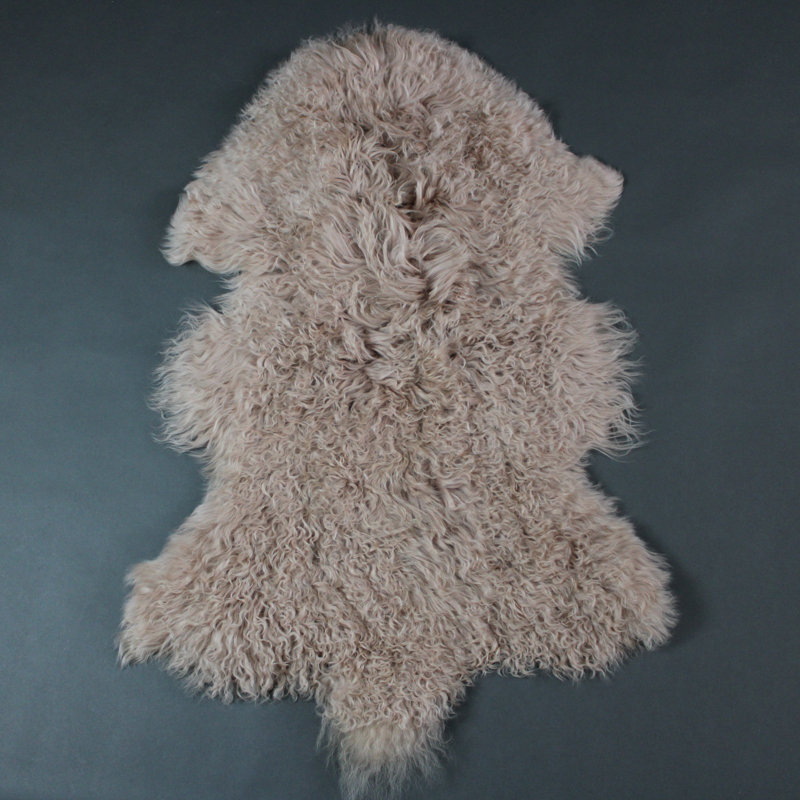 Ennis Novelty 60 cm x 90 cm Sheepskin Area Rug