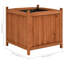 Raised Beds 50x50x50 cm Firwood