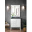 Addison 30 in. Single Vanity-63521102-92932258-101290083