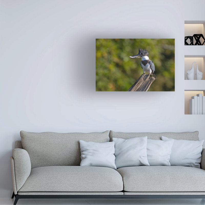 Art sur toile Jim Cumming, H 12 po x l 19 po