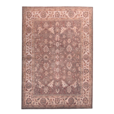Oriental Area Rug