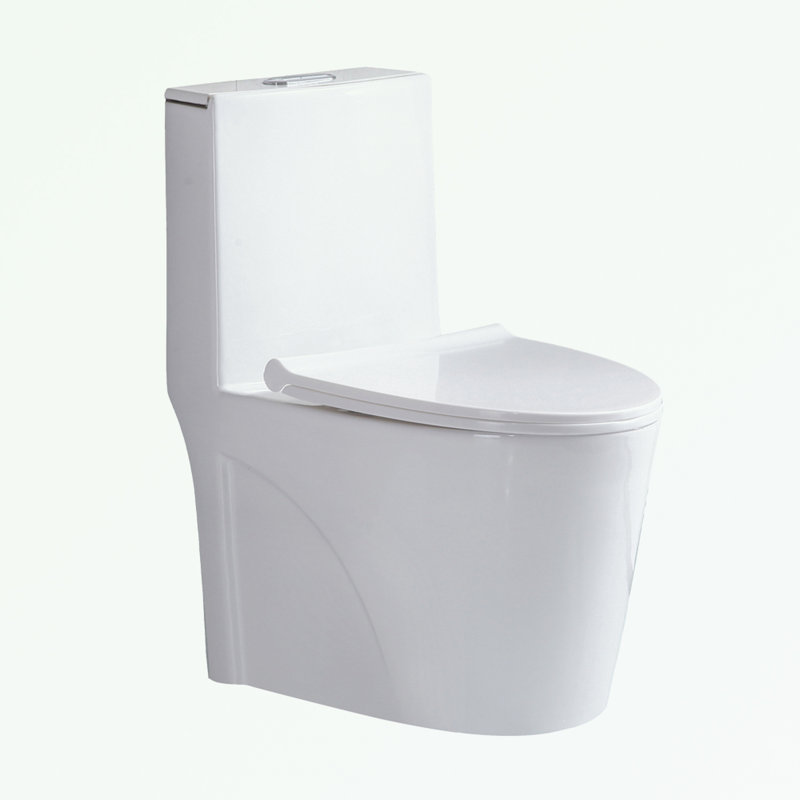Small Compact One Piece Toilet Dual Flush