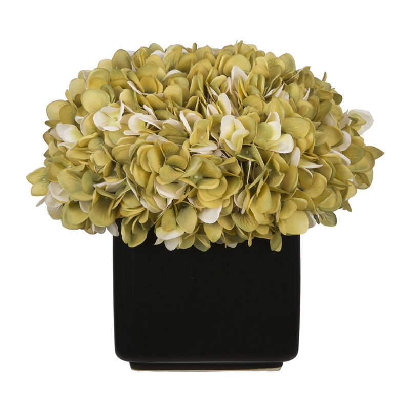 Arrangement réel d'hortensia dans un vase, Sauge/crème