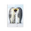 Boze Wall Decor