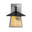 1 - Light Armed Sconce