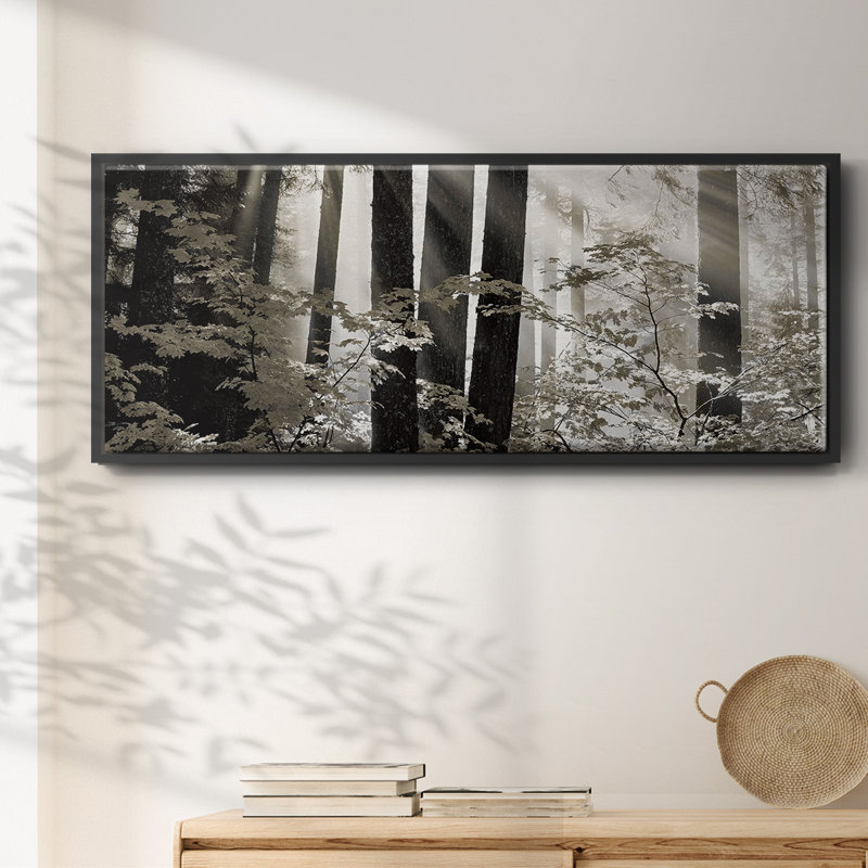 Misty Forest- Framed Canvas, 12" H x 30" W