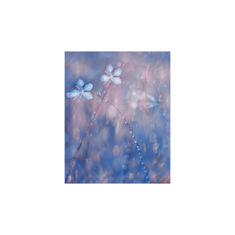 Wrapped Canvas Print, 50.8 cm H x 76.2 cm W