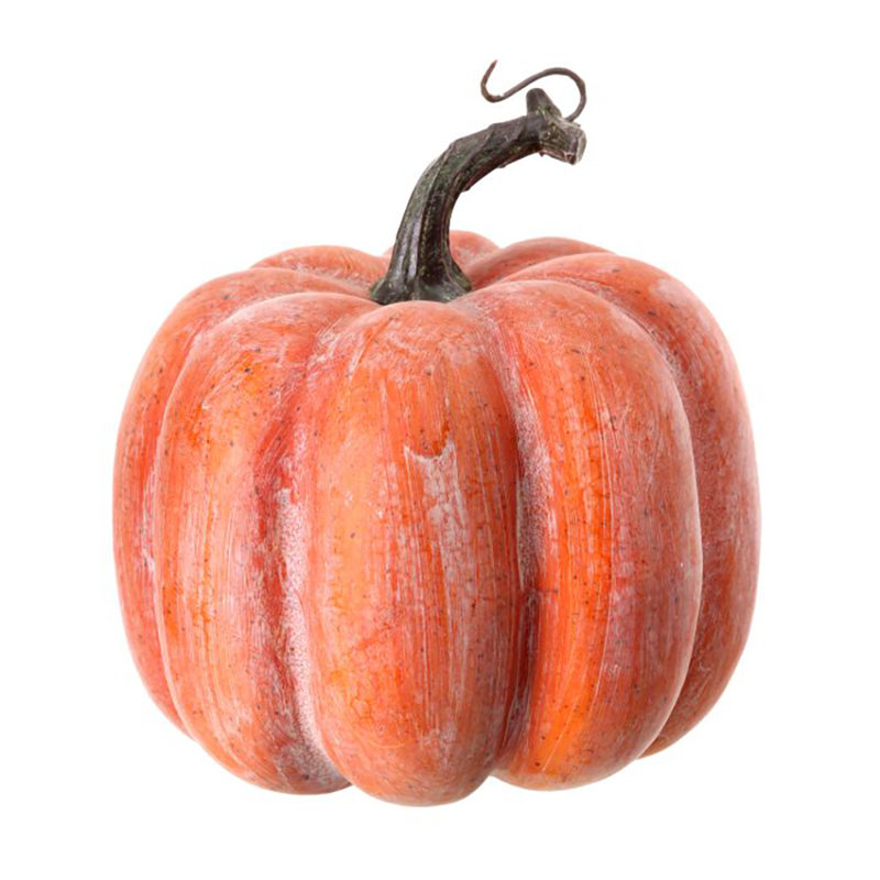Citrouille patinée avec vigne