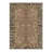 Alissa Liora Boho Leopard Floral Machine Washable Brown / Green / Beige Indoor Area Rug with Non-Slip Backing-2036550359